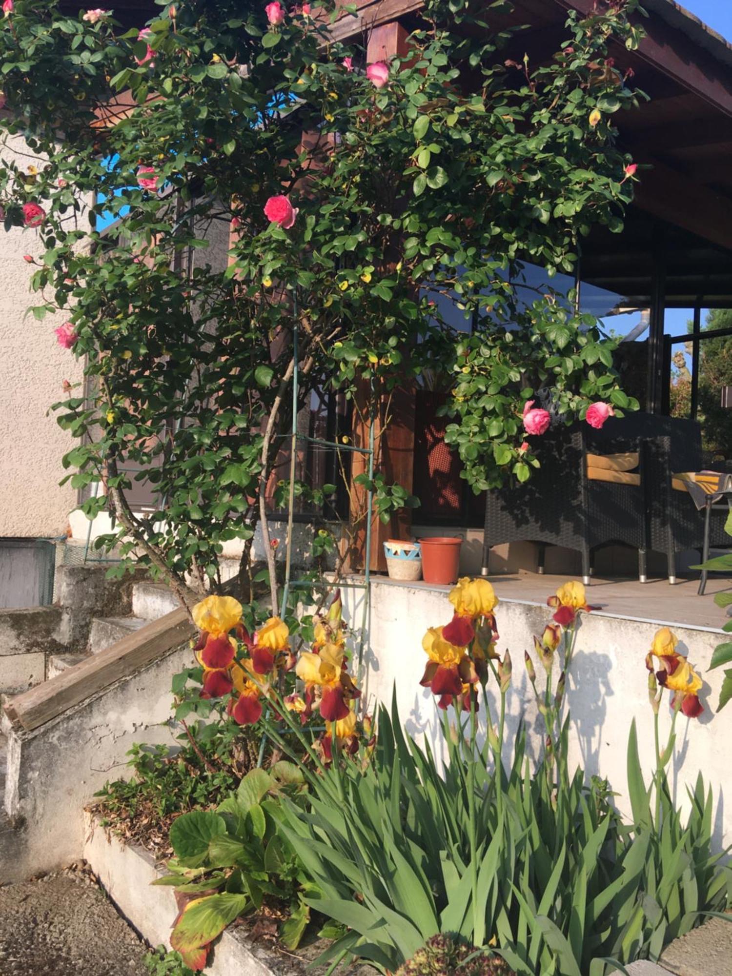 La Colombe Apartment Vienne  Exterior photo